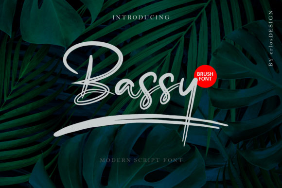 Bassy Font Review: A Delicate Script for Web Design