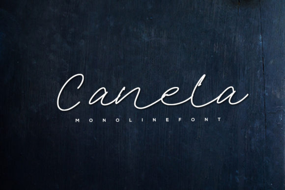 Canela Font: Elevating Web Design with Elegant Script