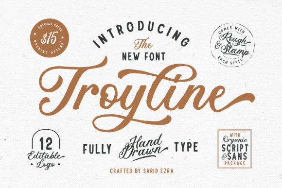 Troyline Font: A Retro Duo Typeface for Modern Web Design