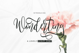 Wonderting Script Font: A Designer’s Branding Test